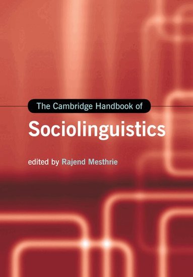 Rajend Mesthrie - The Cambridge Handbook of Sociolinguistics, Häftad