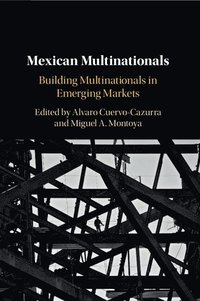 bokomslag Mexican Multinationals