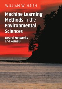 bokomslag Machine Learning Methods in the Environmental Sciences