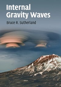 bokomslag Internal Gravity Waves