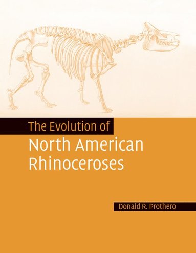 bokomslag The Evolution of North American Rhinoceroses