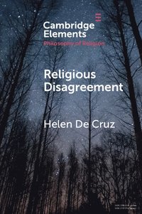 bokomslag Religious Disagreement