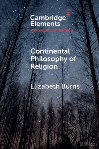 Elizabeth Burns - Continental Philosophy of Religion, Häftad