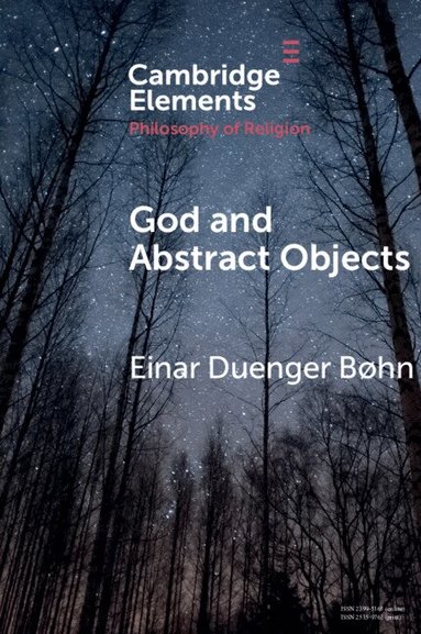 Einar Duenger Bøhn - God and Abstract Objects, Häftad