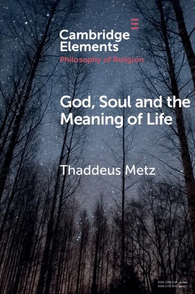 Thaddeus Metz - God, Soul and the Meaning of Life, Häftad