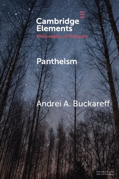 Andrei A. Buckareff - Pantheism, Häftad