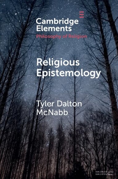 Tyler Dalton McNabb - Religious Epistemology, Häftad