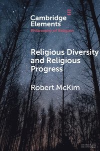 bokomslag Religious Diversity and Religious Progress