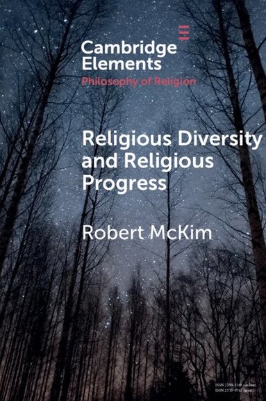 Robert McKim - Religious Diversity and Religious Progress, Häftad