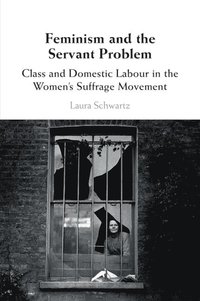 bokomslag Feminism and the Servant Problem