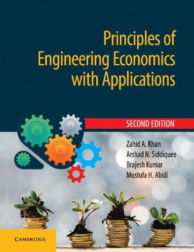 bokomslag Principles of Engineering Economics with Applications