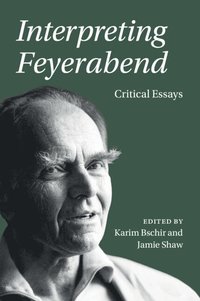 bokomslag Interpreting Feyerabend