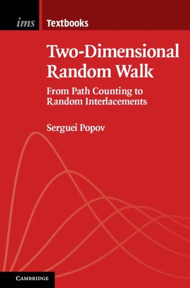 bokomslag Two-Dimensional Random Walk