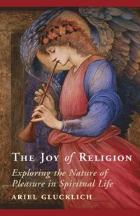 bokomslag Joy of Religion