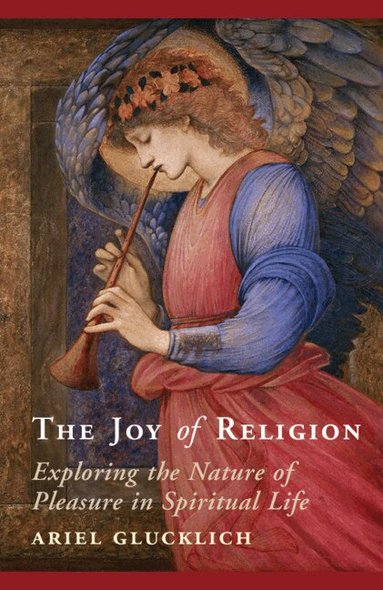 Ariel Glucklich - The Joy of Religion, Häftad
