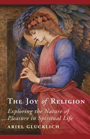bokomslag Joy of Religion