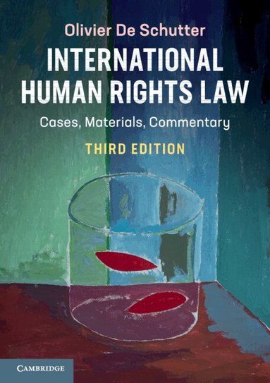 Olivier De Schutter - International Human Rights Law, Häftad