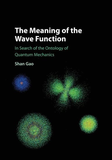 bokomslag The Meaning of the Wave Function