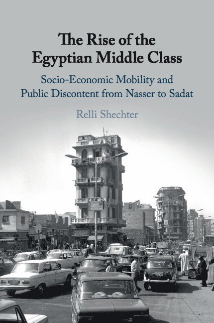 The Rise of the Egyptian Middle Class 1