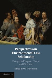 bokomslag Perspectives on Environmental Law Scholarship
