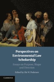 bokomslag Perspectives on Environmental Law Scholarship