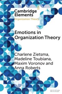 bokomslag Emotions in Organization Theory