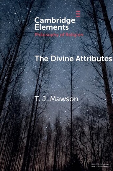 T. J. Mawson - The Divine Attributes, Häftad