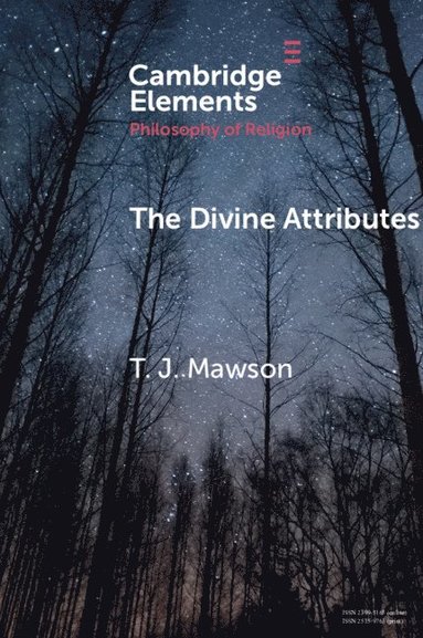 bokomslag The Divine Attributes