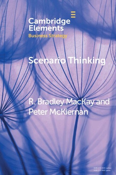R. Bradley MacKay, Peter McKiernan - Scenario Thinking, Häftad