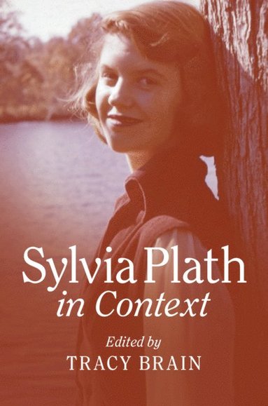 bokomslag Sylvia Plath in Context