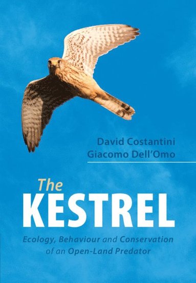 bokomslag The Kestrel