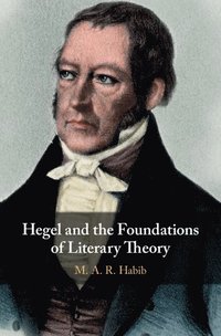 bokomslag Hegel and the Foundations of Literary Theory