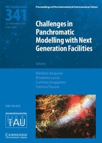 bokomslag Challenges in Panchromatic Modelling with Next Generation Facilities (IAU S341)