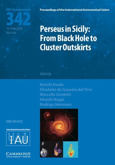 Keiichi Asada, Elisabete de Gouveia Dal Pino, Marcello Giroletti, Hiroshi Nagai, Rodrigo Nemmen - Perseus in Sicily (IAU S342), Inbunden