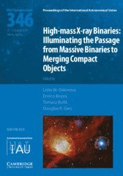 bokomslag High-mass X-ray Binaries (IAU S346)