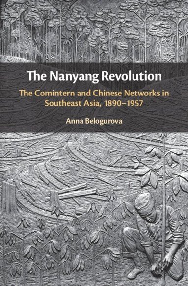 bokomslag The Nanyang Revolution