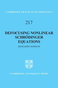 bokomslag Defocusing Nonlinear Schrdinger Equations