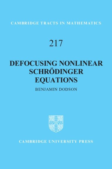 bokomslag Defocusing Nonlinear Schrdinger Equations