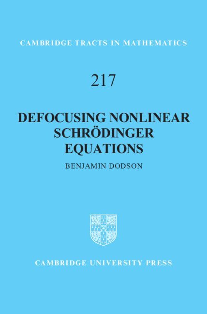 Defocusing Nonlinear Schrdinger Equations 1