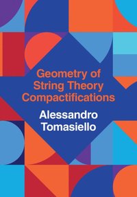 bokomslag Geometry of String Theory Compactifications
