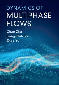bokomslag Dynamics of Multiphase Flows