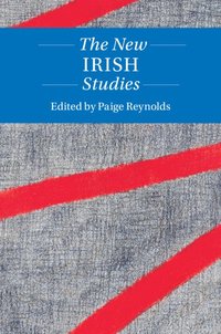 bokomslag The New Irish Studies