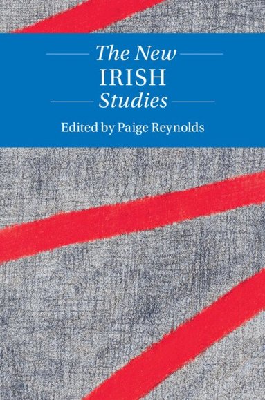 Paige Reynolds - The New Irish Studies, Inbunden