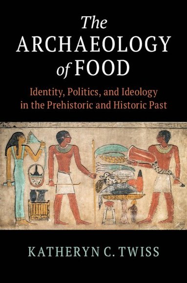 bokomslag Archaeology of Food