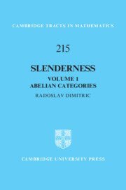 bokomslag Slenderness: Volume 1, Abelian Categories