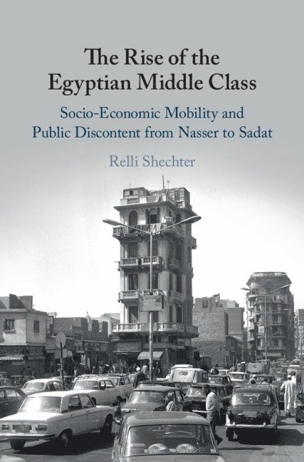 The Rise of the Egyptian Middle Class