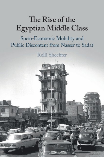 The Rise of the Egyptian Middle Class 1