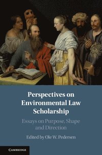 bokomslag Perspectives on Environmental Law Scholarship