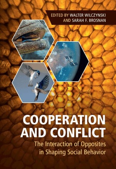 Walter Wilczynski, Sarah F. Brosnan - Cooperation and Conflict, Inbunden