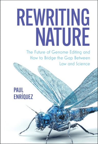 bokomslag Rewriting Nature